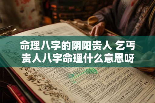 命理八字的阴阳贵人 乞丐贵人八字命理什么意思呀 命理八字的阴阳贵人 乞丐贵人八字命理什么意思呀
