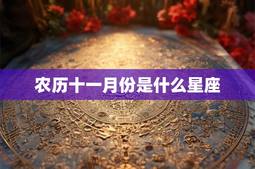 农历十一月份是什么星座