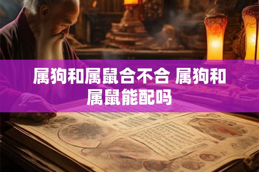 属狗和属鼠合不合 属狗和属鼠能配吗 属狗和属鼠合不合 属狗和属鼠能配吗