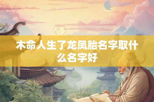 木命人生了龙凤胎名字取什么名字好