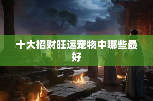 十大招财旺运宠物中哪些最好 十大招财旺运宠物中哪些最好