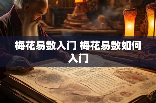 梅花易数入门 梅花易数如何入门 梅花易数入门 梅花易数如何入门