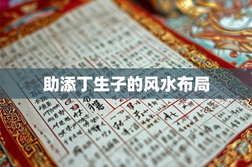 助添丁生子的风水布局 助添丁生子的风水布局