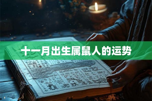 十一月出生属鼠人的运势 十一月出生属鼠人的运势