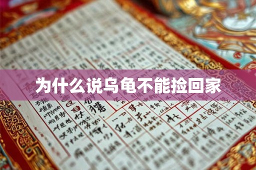 为什么说乌龟不能捡回家 为什么说乌龟不能捡回家