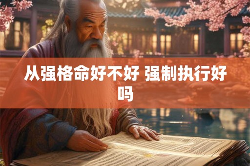 从强格命好不好 强制执行好吗 从强格命好不好 强制执行好吗