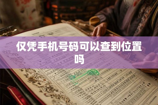 仅凭手机号码可以查到位置吗 仅凭手机号码可以查到位置吗