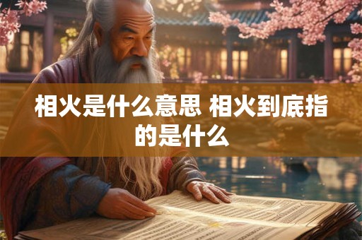 相火是什么意思 相火到底指的是什么