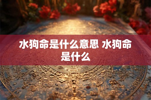 水狗命是什么意思 水狗命是什么 水狗命是什么意思 水狗命是什么