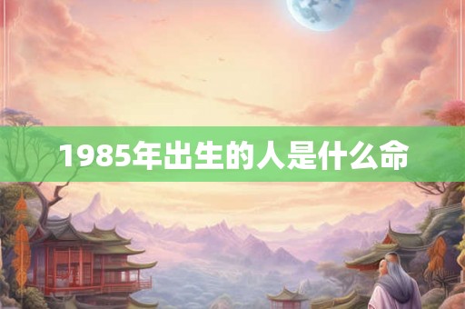 1985年出生的人是什么命