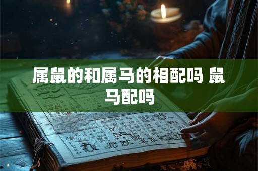 属鼠的和属马的相配吗 鼠马配吗