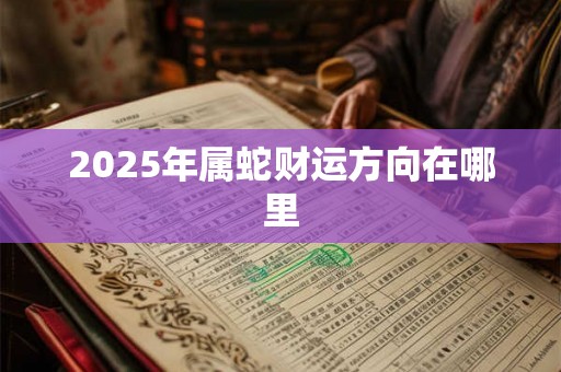 2025年属蛇财运方向在哪里