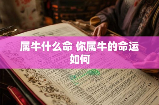 属牛什么命 你属牛的命运如何
