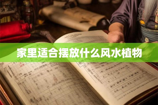 家里适合摆放什么风水植物