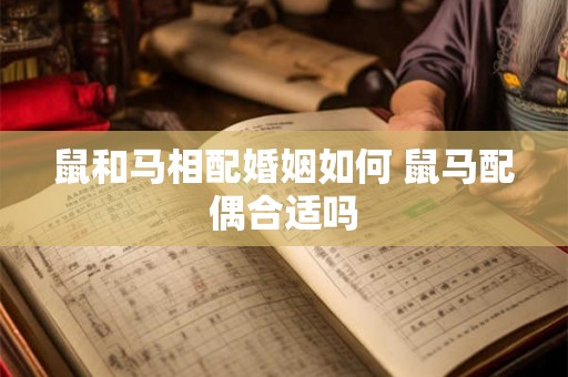 鼠和马相配婚姻如何 鼠马配偶合适吗 鼠和马相配婚姻如何 鼠马配偶合适吗