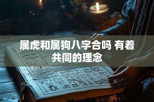 属虎和属狗八字合吗 有着共同的理念 属虎和属狗八字合吗 有着共同的理念