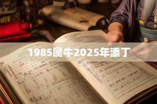 1985属牛2025年添丁 1985属牛2025年添丁