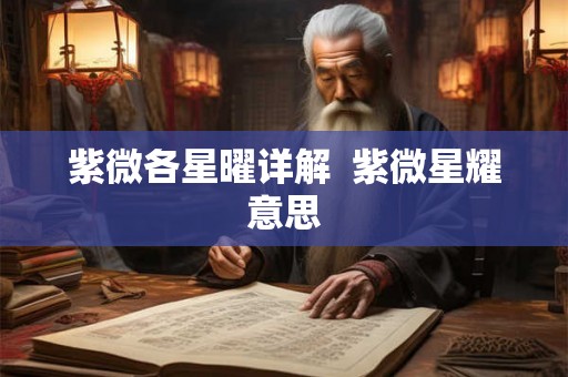 紫微各星曜详解 紫微星耀意思 紫微各星曜详解 紫微星耀意思