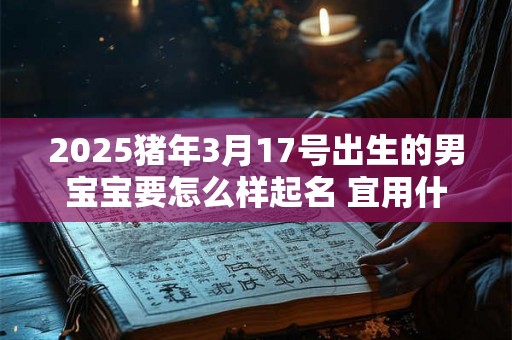 2025猪年3月17号出生的男宝宝要怎么样起名 宜用什么字 2025猪年3月17号出生的男宝宝要怎么样起名 宜用什么字