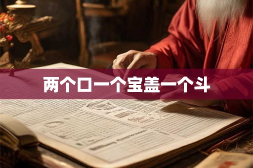 两个口一个宝盖一个斗