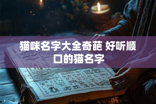 猫咪名字大全奇葩 好听顺口的猫名字 猫咪名字大全奇葩 好听顺口的猫名字