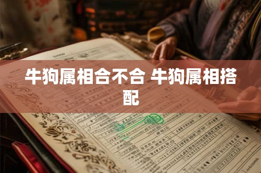 牛狗属相合不合 牛狗属相搭配