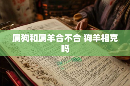 属狗和属羊合不合 狗羊相克吗 属狗和属羊合不合 狗羊相克吗