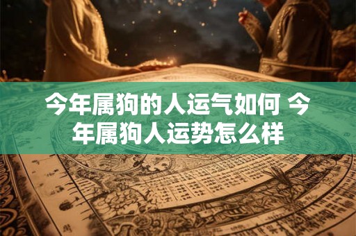 今年属狗的人运气如何 今年属狗人运势怎么样 今年属狗的人运气如何 今年属狗人运势怎么样