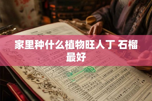 家里种什么植物旺人丁 石榴最好 家里种什么植物旺人丁 石榴最好