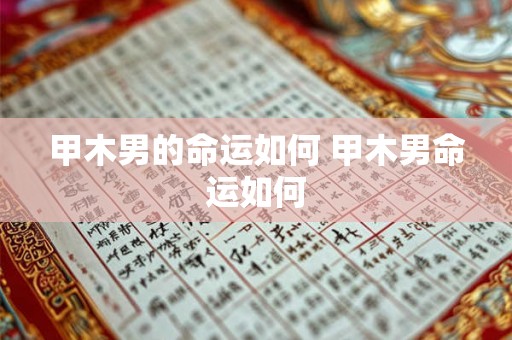 甲木男的命运如何 甲木男命运如何