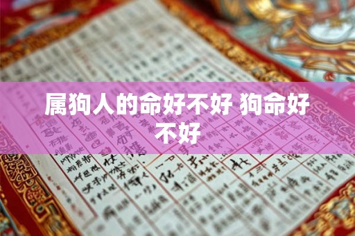 属狗人的命好不好 狗命好不好 属狗人的命好不好 狗命好不好