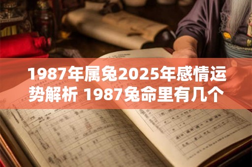 1987年属兔2025年感情运势解析 1987兔命里有几个孩子 1987年属兔2025年感情运势解析 1987兔命里有几个孩子