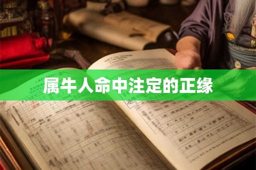 属牛人命中注定的正缘 属牛人命中注定的正缘