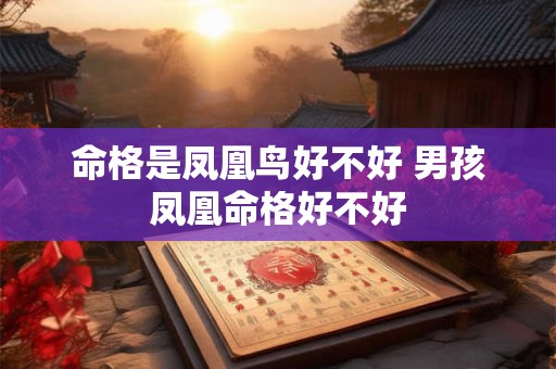 命格是凤凰鸟好不好 男孩凤凰命格好不好 命格是凤凰鸟好不好 男孩凤凰命格好不好