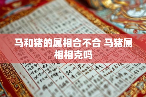 马和猪的属相合不合 马猪属相相克吗