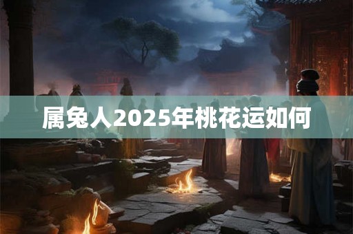 属兔人2025年桃花运如何 属兔人2025年桃花运如何