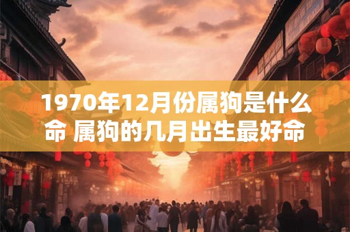 1970年12月份属狗是什么命 属狗的几月出生最好命