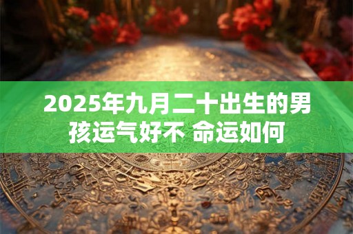 2025年九月二十出生的男孩运气好不 命运如何 2025年九月二十出生的男孩运气好不 命运如何