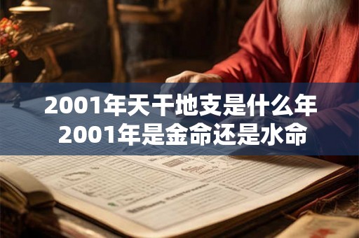 2001年天干地支是什么年 2001年是金命还是水命 2001年天干地支是什么年 2001年是金命还是水命