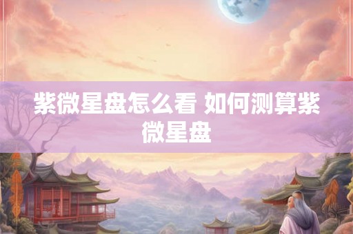紫微星盘怎么看 如何测算紫微星盘 紫微星盘怎么看 如何测算紫微星盘
