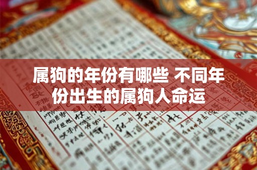 属狗的年份有哪些 不同年份出生的属狗人命运