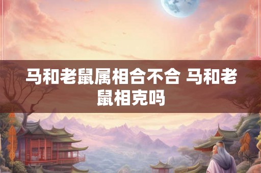 马和老鼠属相合不合 马和老鼠相克吗