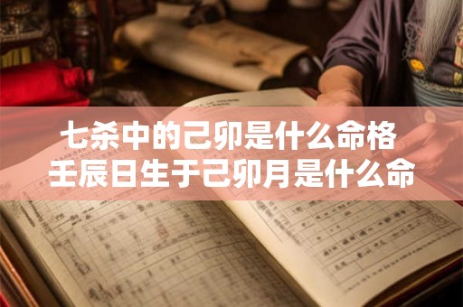 七杀中的己卯是什么命格 壬辰日生于己卯月是什么命格 七杀中的己卯是什么命格 壬辰日生于己卯月是什么命格