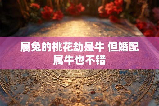 属兔的桃花劫是牛 但婚配属牛也不错 属兔的桃花劫是牛 但婚配属牛也不错