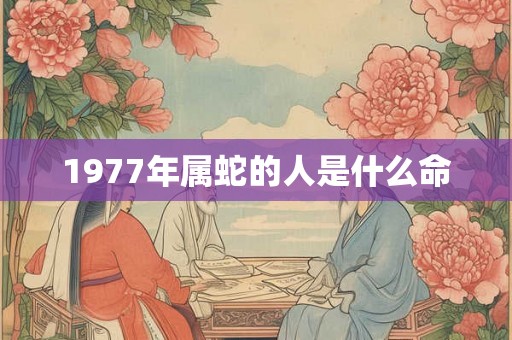 1977年属蛇的人是什么命