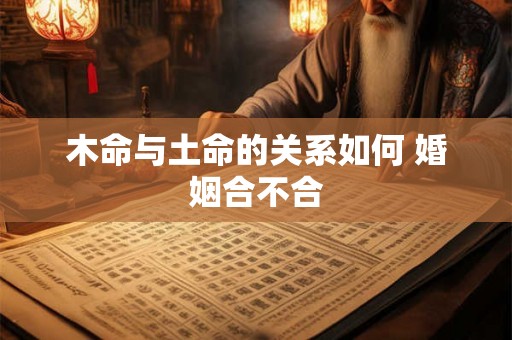 木命与土命的关系如何 婚姻合不合 木命与土命的关系如何 婚姻合不合