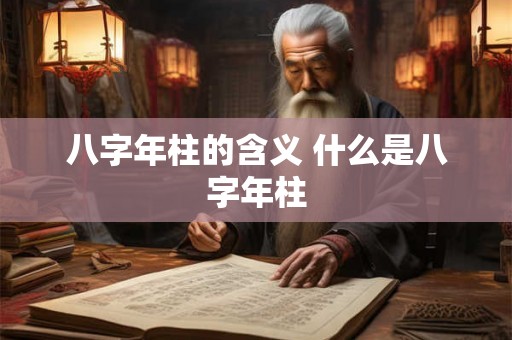 八字年柱的含义 什么是八字年柱 八字年柱的含义 什么是八字年柱