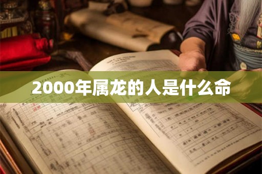 2000年属龙的人是什么命