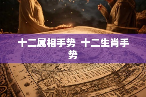 十二属相手势 十二生肖手势 十二属相手势 十二生肖手势