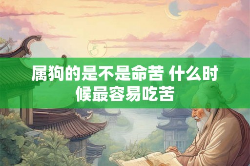 属狗的是不是命苦 什么时候最容易吃苦